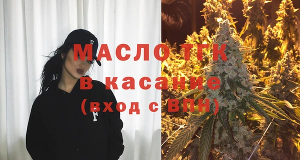 МДПВ Инсар