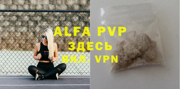 МДПВ Инсар