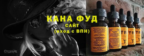 МДПВ Инсар
