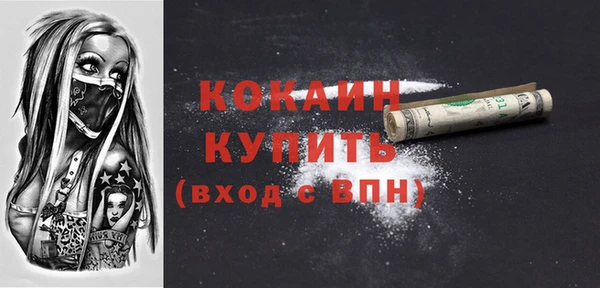 МДПВ Инсар