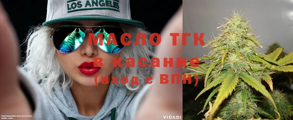 МДПВ Инсар