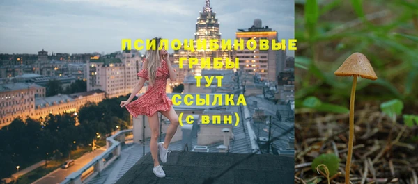 синтетический гашиш Инта