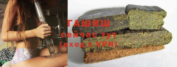 МДПВ Инсар
