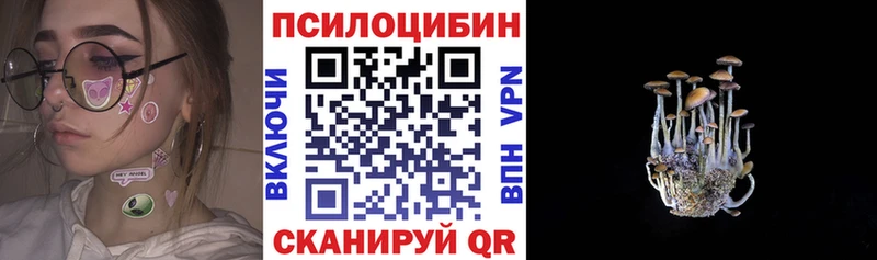 Купить где  Велиж  Псилоцибиновые грибы мухоморы 